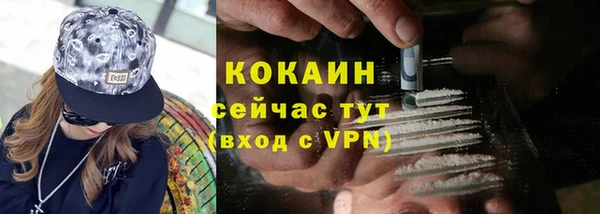 ПСИЛОЦИБИНОВЫЕ ГРИБЫ Вяземский