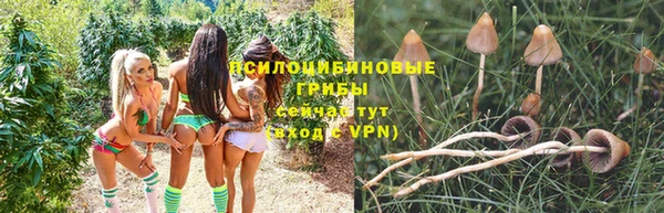 а пвп мука Вязники