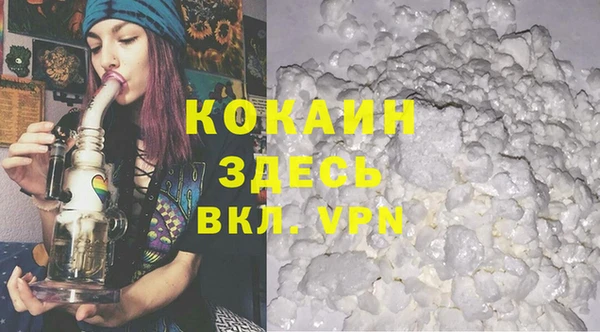 ПСИЛОЦИБИНОВЫЕ ГРИБЫ Вяземский