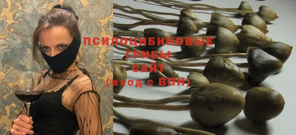 ПСИЛОЦИБИНОВЫЕ ГРИБЫ Вяземский